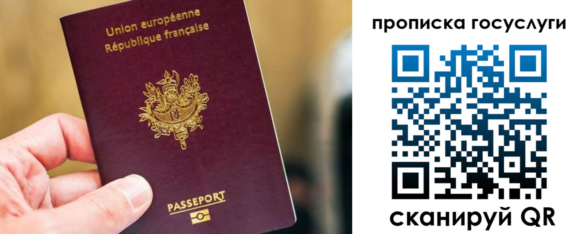 временная регистрация поиск в Мордовии